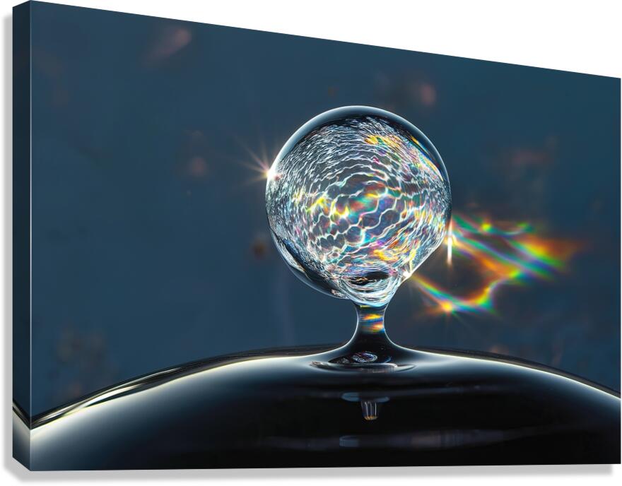 Water drop close up 2 Canvas Print