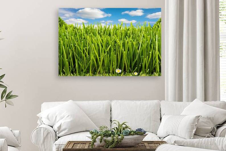 green fresh grass lawn close up 3 by Mirela Poiana