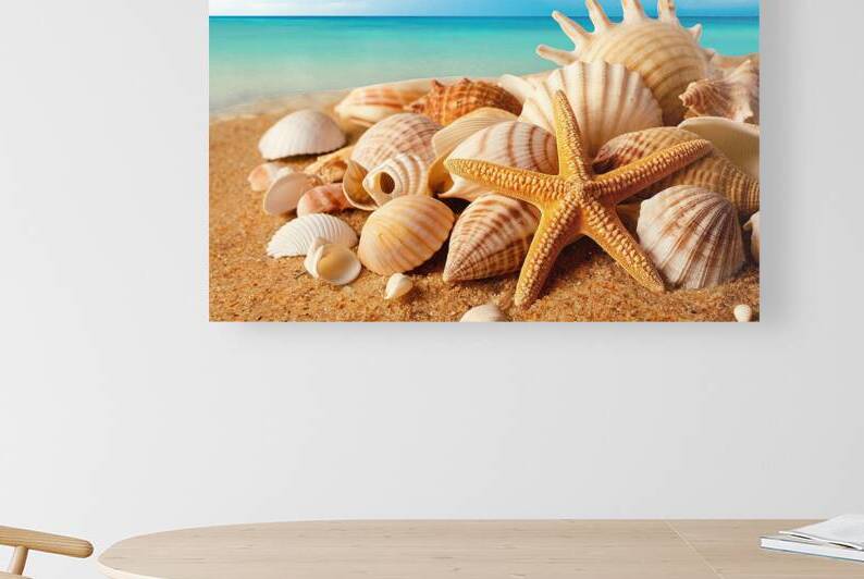 A collection of seashells and a starfish on a san by Mirela Poiana