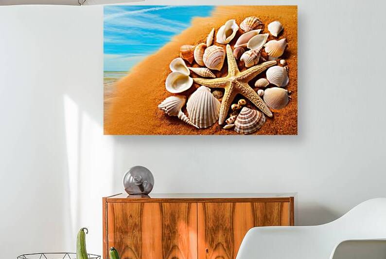 A collection of seashells and a starfish on a san 1722573833.8232 by Mirela Poiana