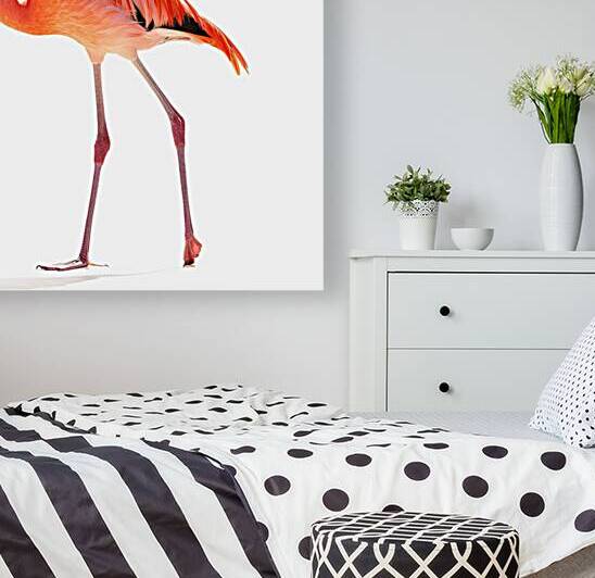 Beautiful Flamingo Isolated on White Background 2 by Mirela Poiana