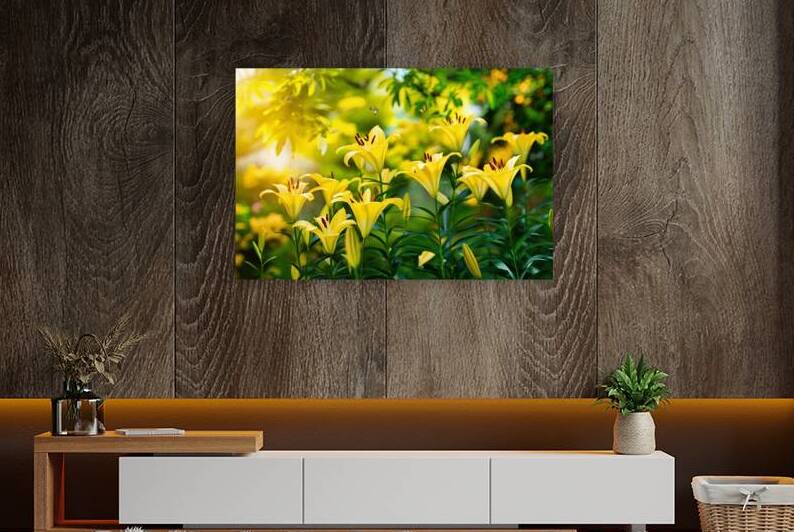 Yellow lily flowers in the garden by Mirela Poiana