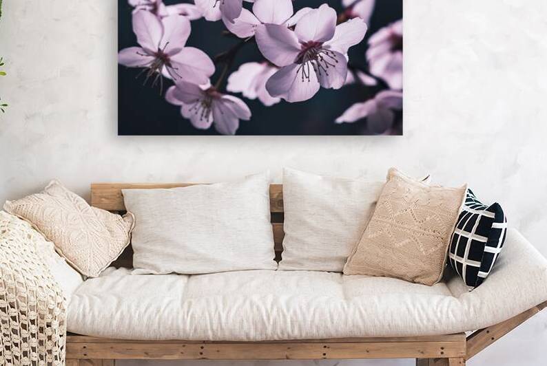 White cherry blossom on dark background 2 by Mirela Poiana