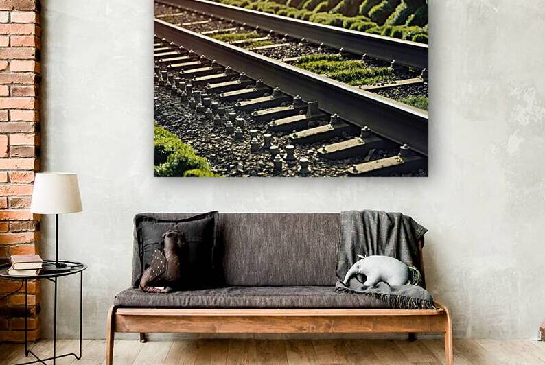A railway track meticulously aligned and bordered 1722836385.6494 by Mirela Poiana