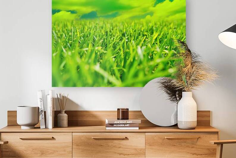 freshly cut grass macro low angle shot by Mirela Poiana