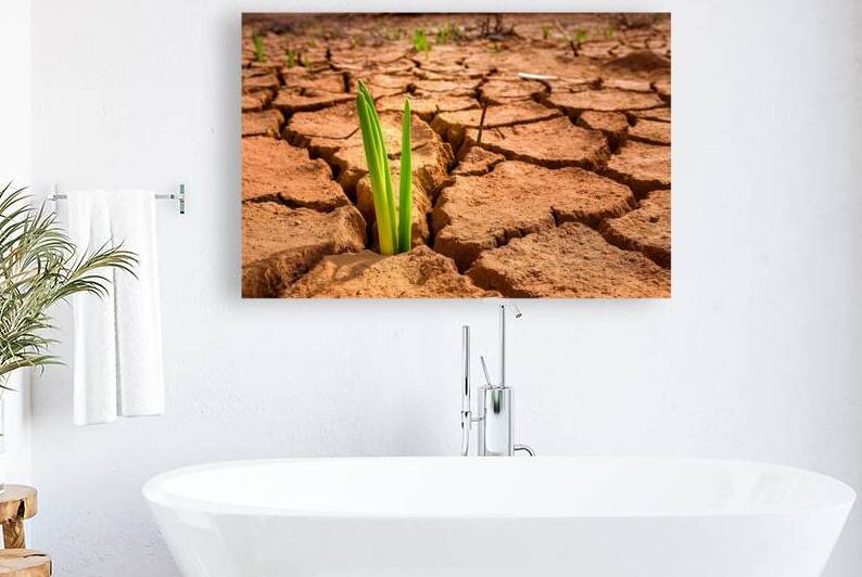A young plant sprouting from cracked dry earth .j by Mirela Poiana