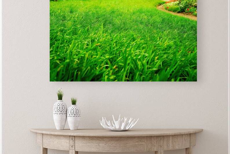 Green grass texture background grass garden by Mirela Poiana