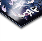 Hollow Knight Acrylic print