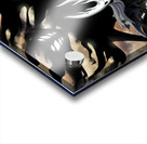 Hollow Knight Acrylic print