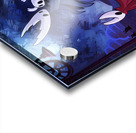 Hollow Knight Acrylic print