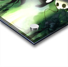 Hollow Knight Acrylic print