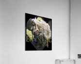 ELDEN RING Acrylic Print