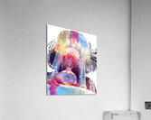 Gris Art Acrylic Print