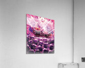 Hollow Knight Acrylic Print