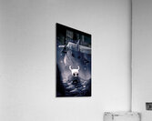 Hollow Knight Acrylic Print