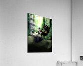 Hollow Knight Acrylic Print