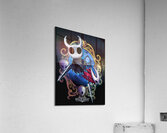Hollow Knight Acrylic Print
