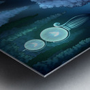 Hollow Knight Metal print