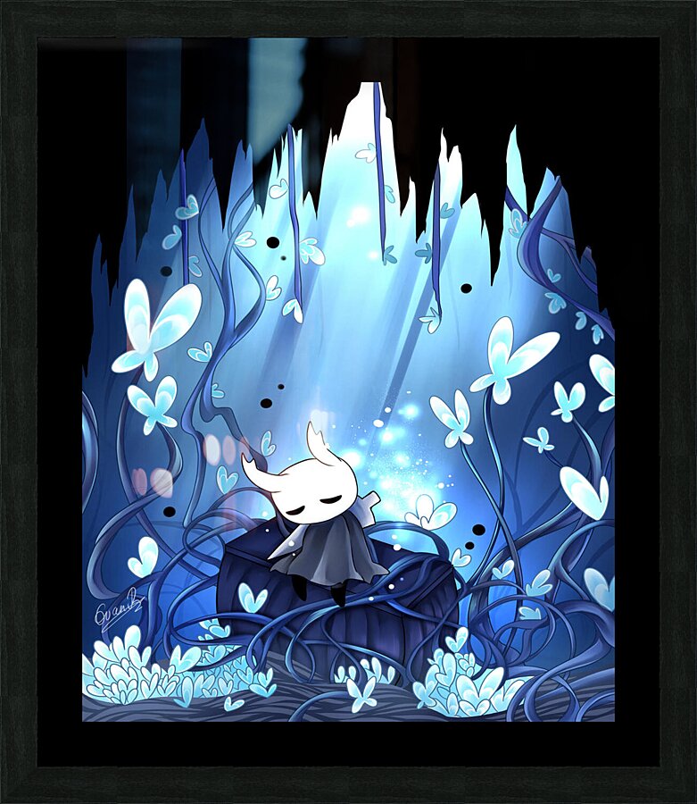 Hollow Knight Impression et Cadre photo