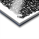 3D Acrylic print