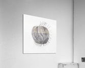 Apple Like Acrylic Print