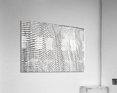  voilage Acrylic Print