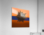 Untitled Acrylic Print