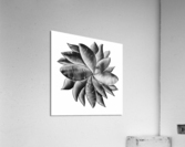 perception 1-1 Acrylic Print