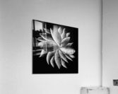 perception 1-2 Acrylic Print