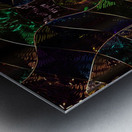 Chromosome X Metal print