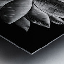 perception 1-2 Metal print