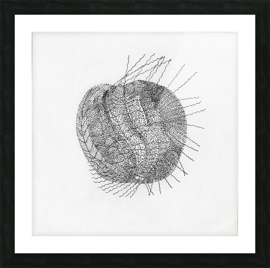 Apple Like Picture Frame print