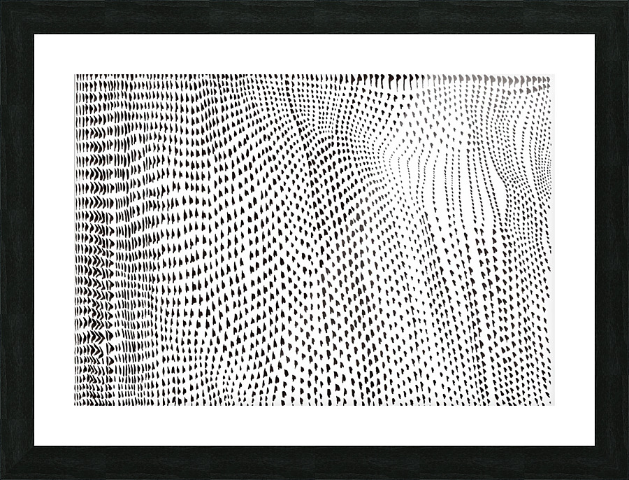  voilage Picture Frame print