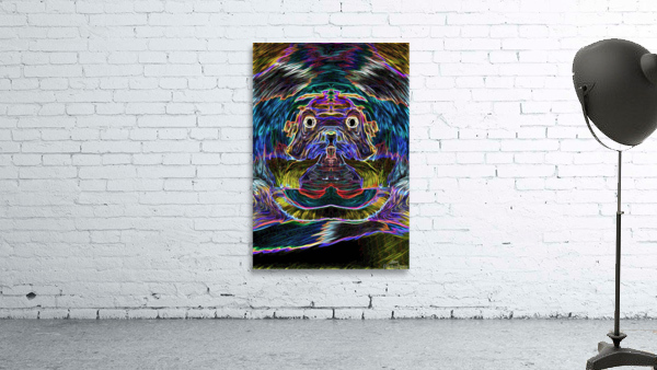 Wise Dog Wall Preview