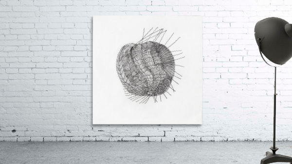 Apple Like Wall Preview