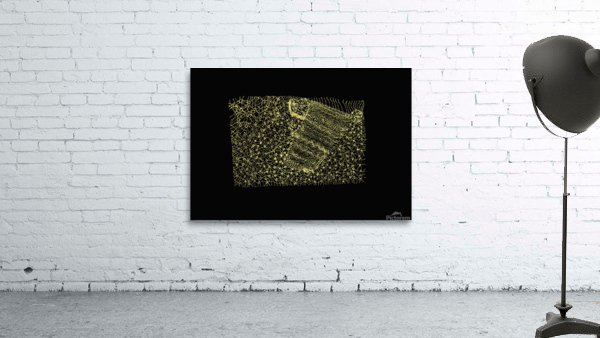 Golden Pint Wall Preview