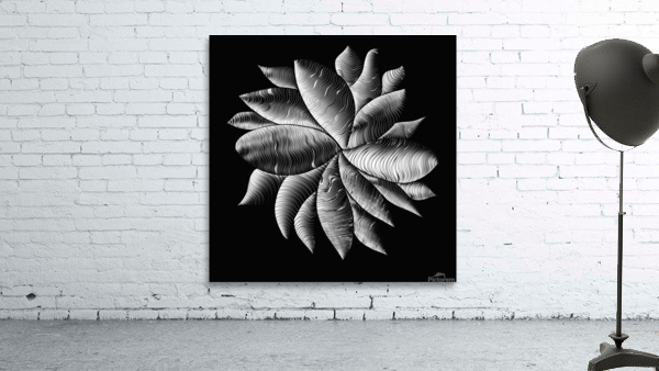 perception 1-2 Wall Preview
