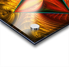 PHOENIX TRIANGLE Acrylic print