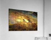 Gold Fever Acrylic Print