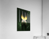 Yellow Butterfly Acrylic Print
