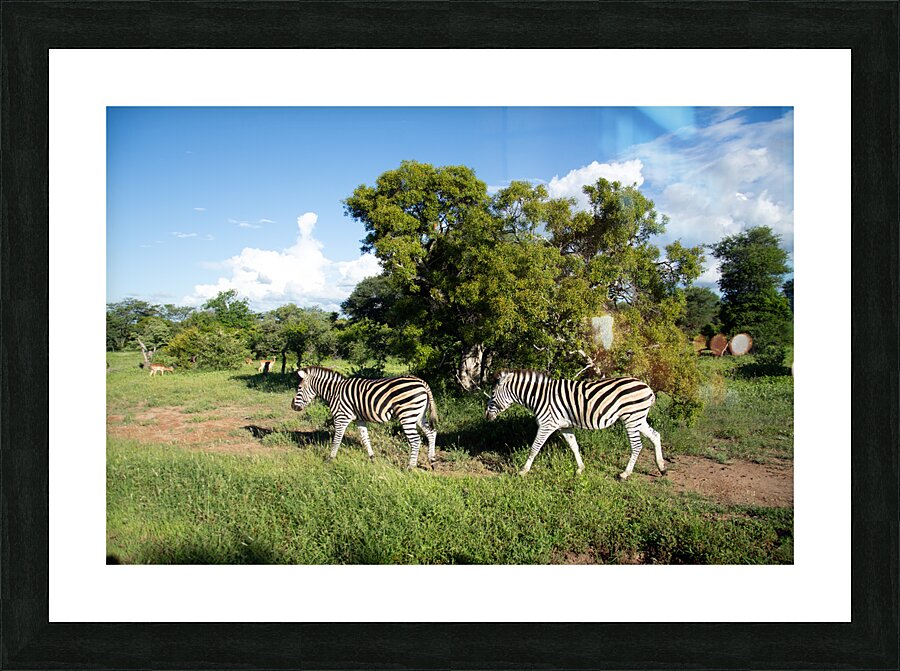 Neighbors 1 Picture Frame print