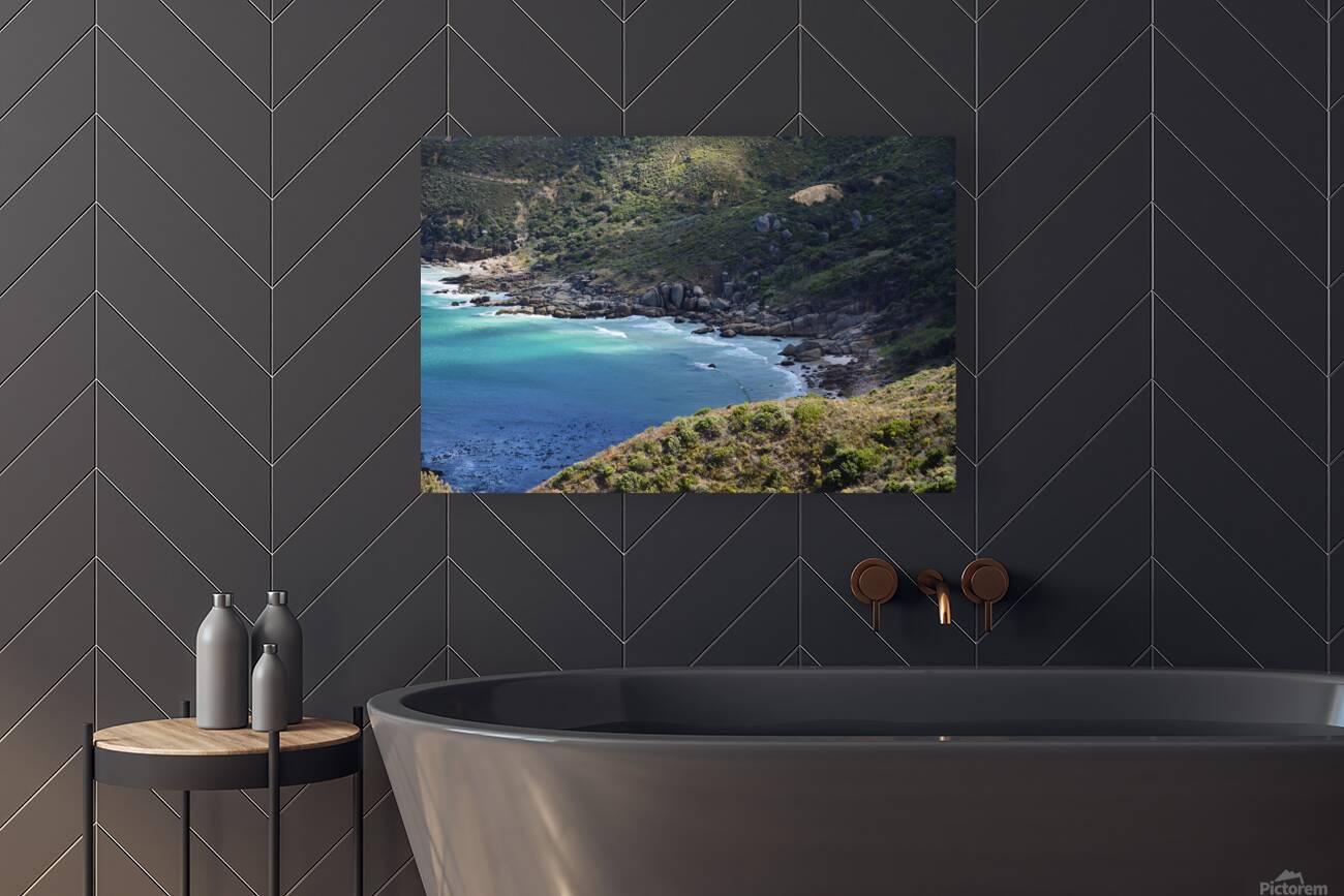 Cape Town Cove Reproduction