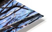 Entanglement 3 HD Metal print