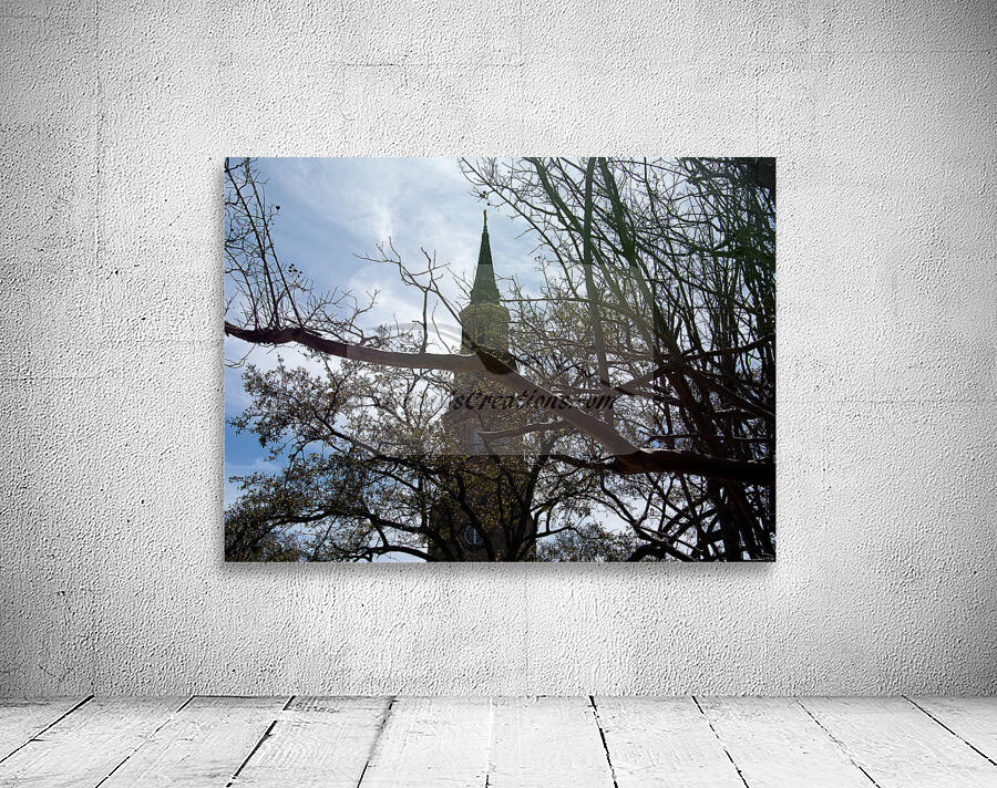 St Philips 2 Wall Preview