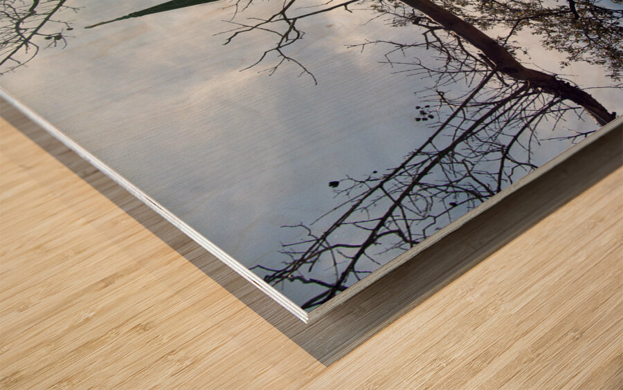 St Philips 2 Wood print