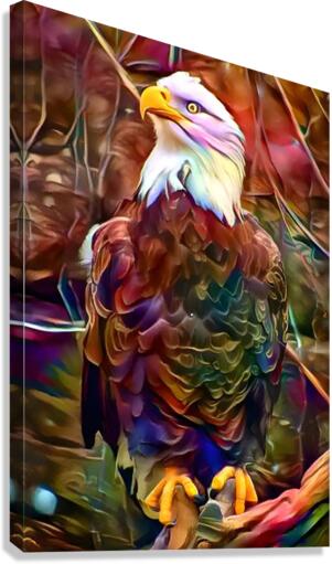 american eagle 01 Canvas Print