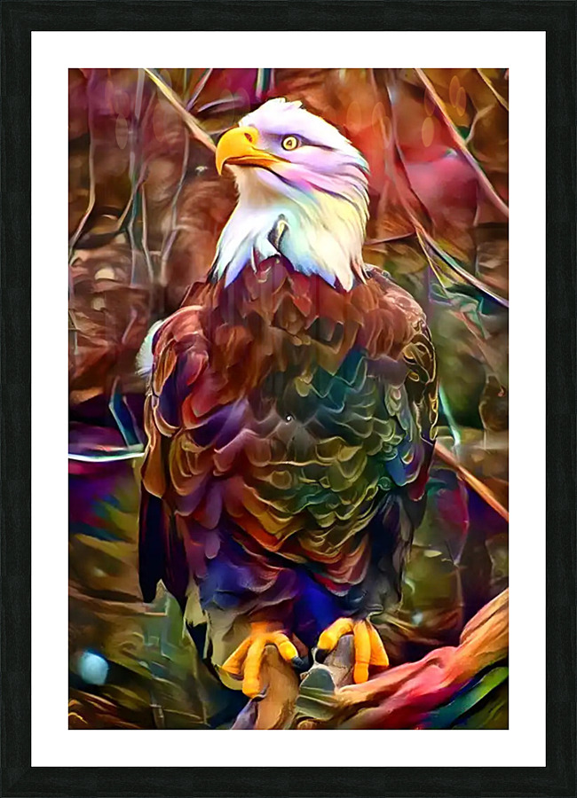 american eagle 01 Picture Frame print