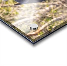 NBC081123046 Enhanced NR Edit Acrylic print