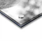 NBC081123037 Enhanced NR Acrylic print