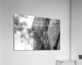 NBC081123037 Enhanced NR Acrylic Print